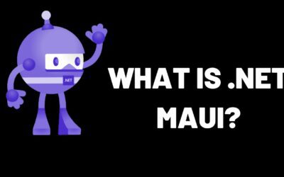 What is .NET Maui?
