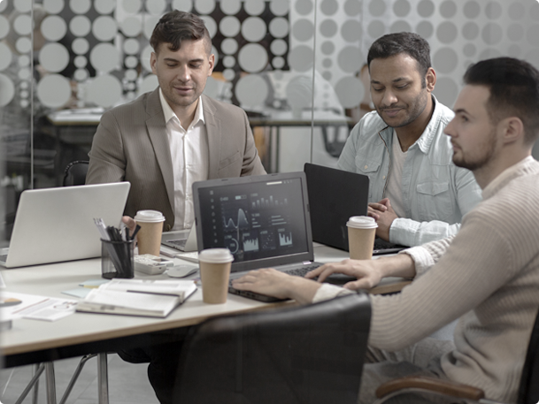 Software-Consulting