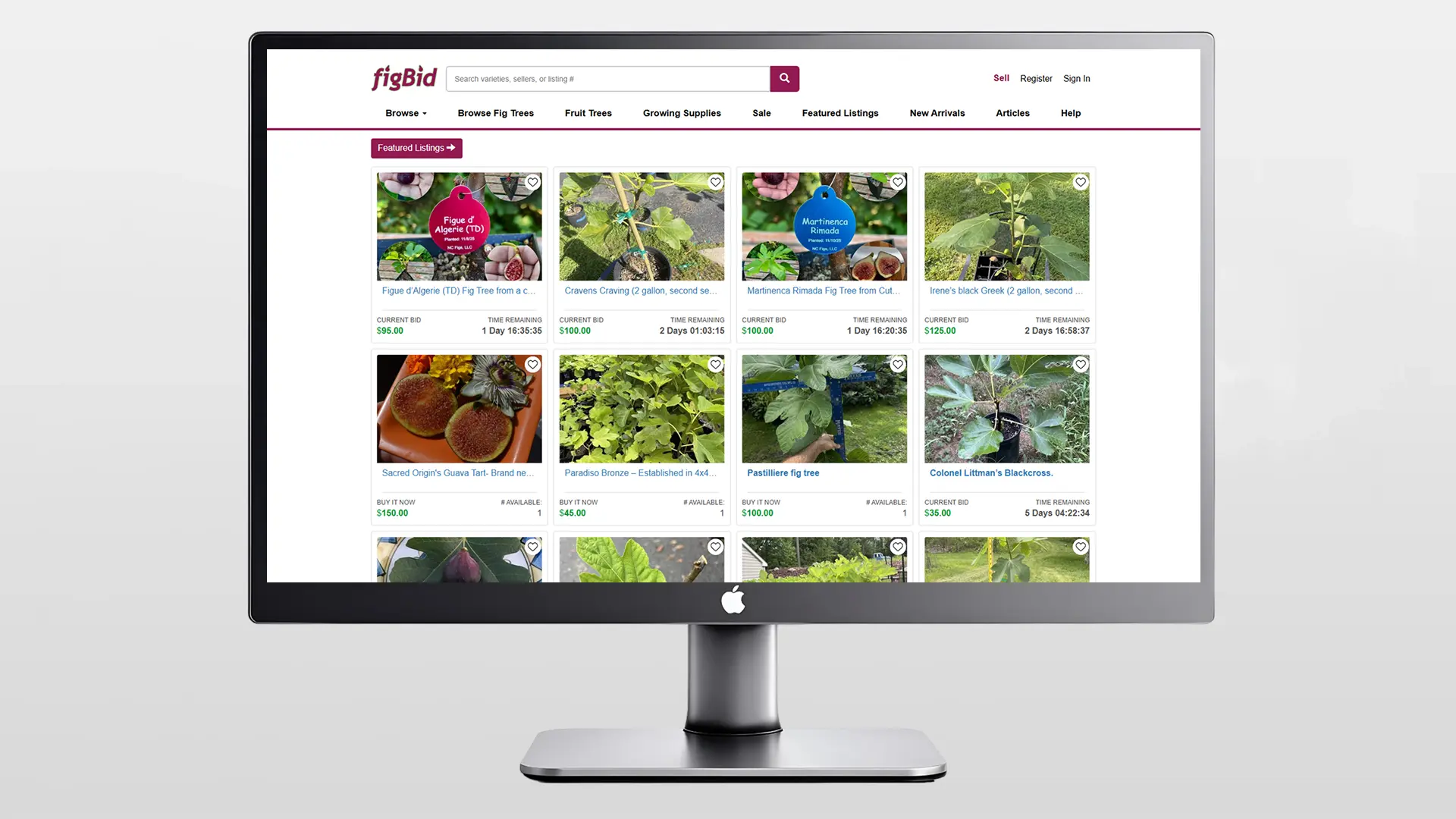 Auction-Marketplace-Development-featured-img